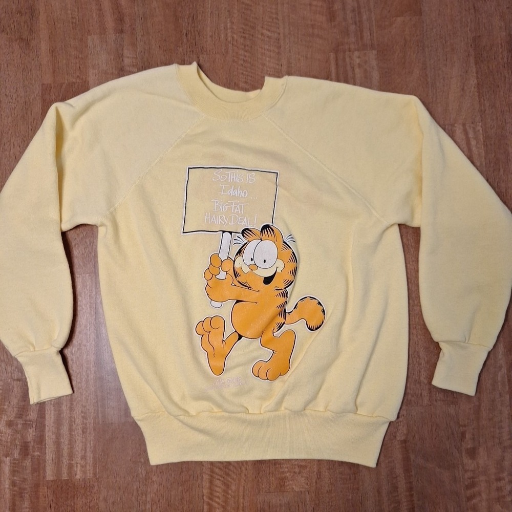 RARE Vintage 1990s Garfield 'SO THIS IS IDAHO' Sweater M Pullover USA See Desc.